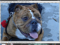 blog_pic